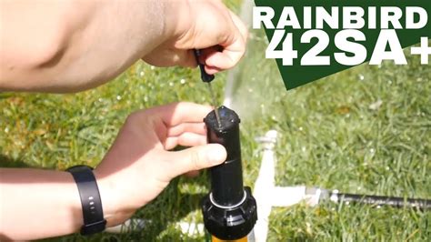 How to adjust a Rain Bird sprinkler head